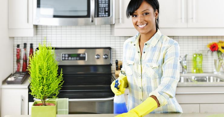 limpiar la casa de hormigas