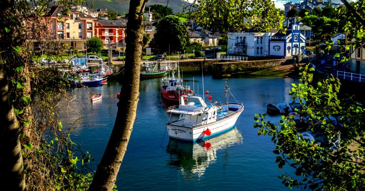 Puerto de Puerto de Vega