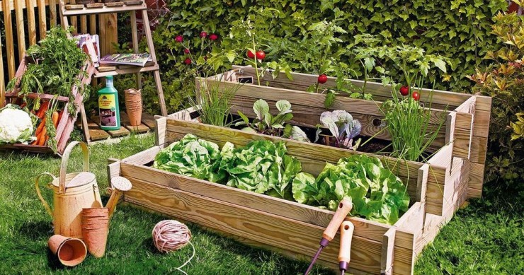Huertos portátiles para cultivar en tu casa: precios y modelos