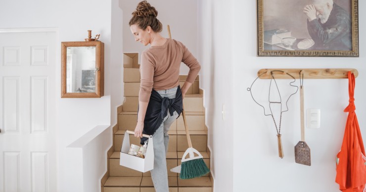 How to get rid of antes at home