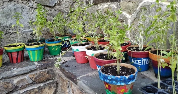 Fiestas de verano: en busca del robu de la albehaca en Extremadura