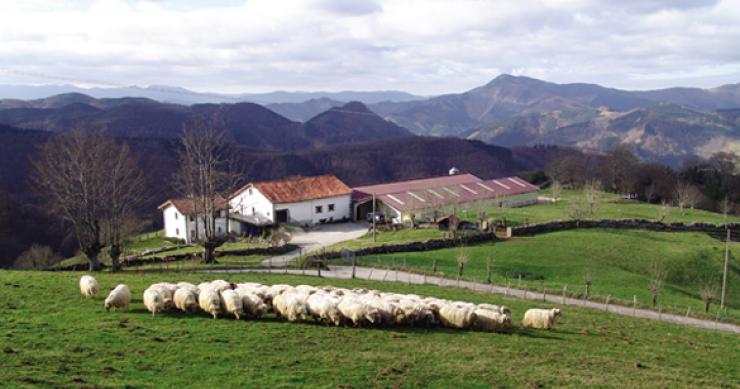 Nueva vida al País Vasco ‘vaciado’: Beizama levantará 12 VPO de alquiler para jóvenes