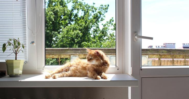 ¿Tienes calor pero temes la factura? Descubre cómo enfriar tu casa sin aire acondicionado