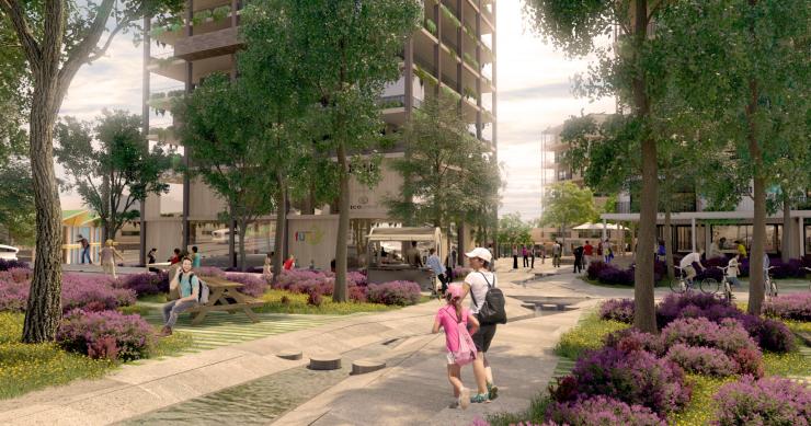 La Pinada, así es el primer ecobarrio creado por sus futuros vecinos