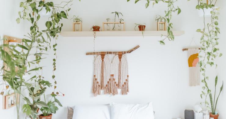 Cinco trucos para revivir tus plantas del calor del verano