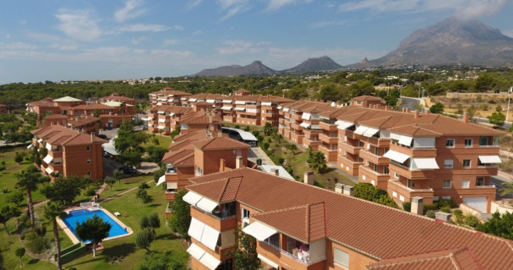 Goya Real Estate