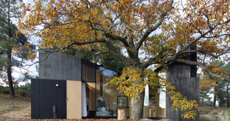 Una preciosa minicasa rural construida en torno a un árbol centenario 