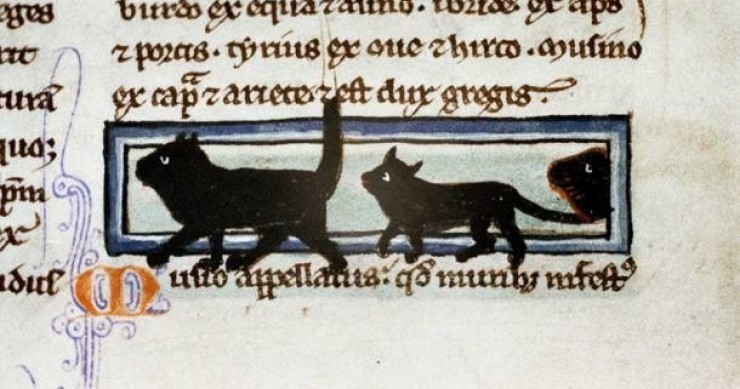 Gatos negros de un manuscrito medieval del siglo XIII