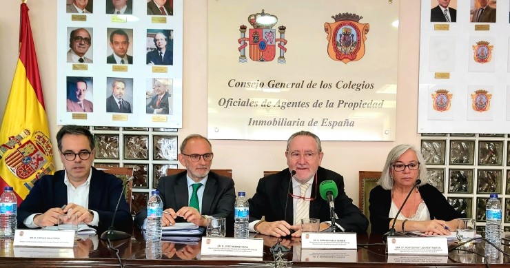 Consejo General de los Colegios Oficiales de Agentes de la Propiedad Inmobiliaria (COAPI) de España