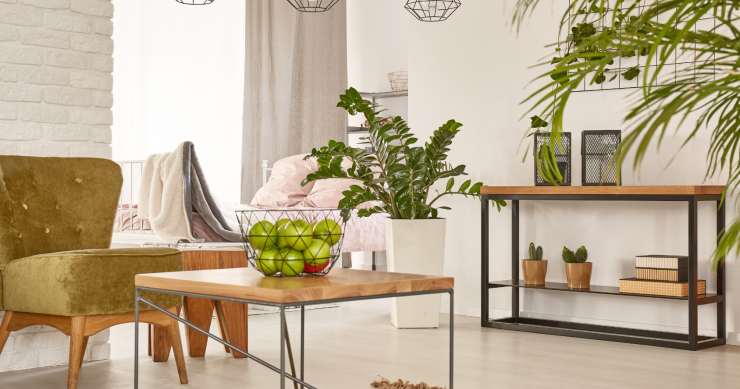 piante da interno poca luce