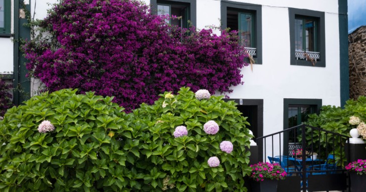 Vivienda en A Coruña