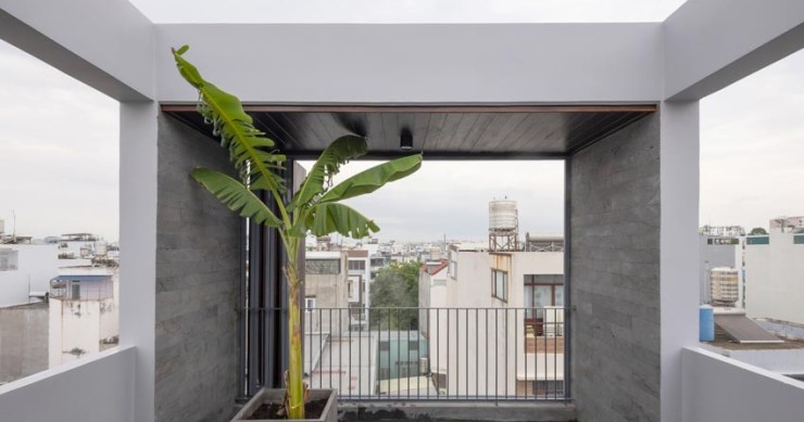 Terraza con una planta