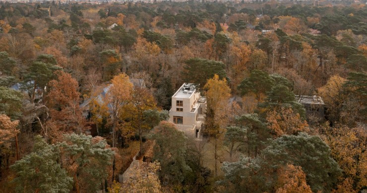 Vivienda entre los árboles