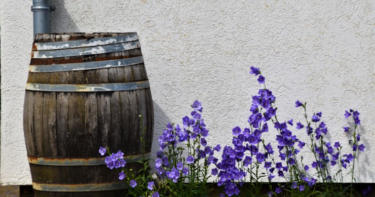Botti per il vino o l'acqua