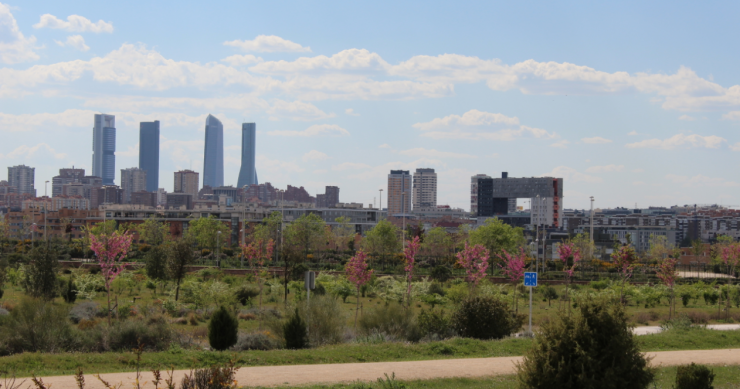 Parque forestal de Valdebebas
