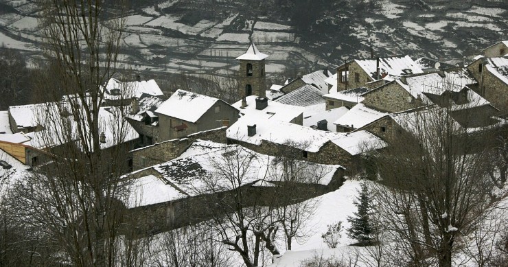 Cerler