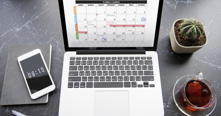 en qué semana estamos