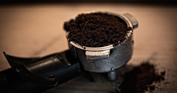 Fondi di caffè come concime per orchidee