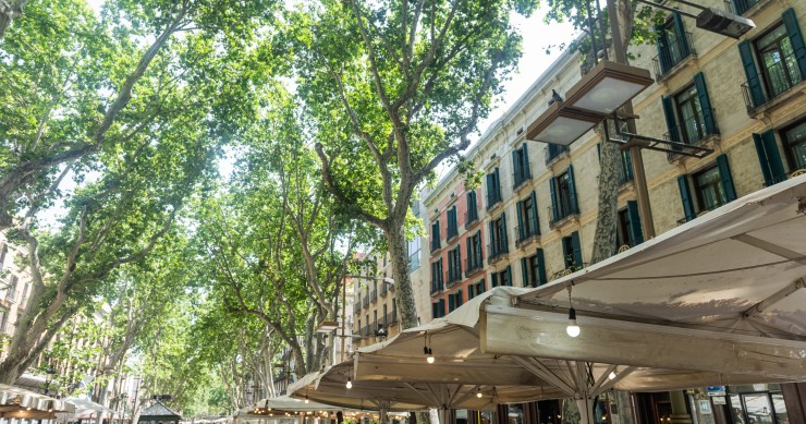 El Parlament atalán deroga el decreto de regulación de alquileres temporales