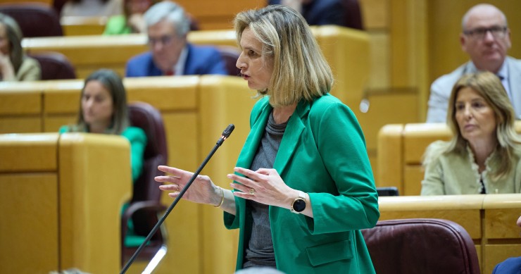 La senadora del PP, Paloma Martín, durante una sesión plenaria en el Senado