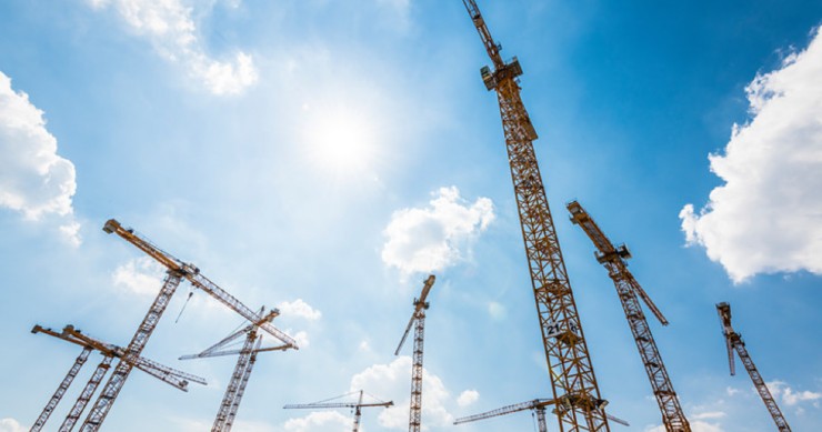 Cranes 