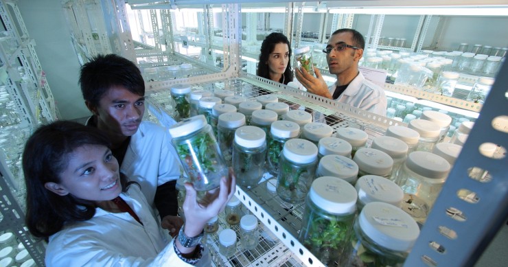 Laboratorio