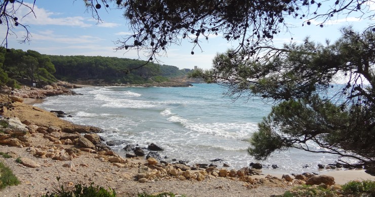 roca plana