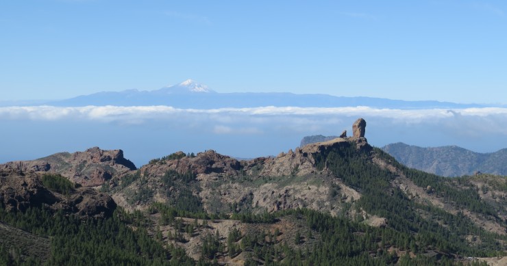 roque nublo
