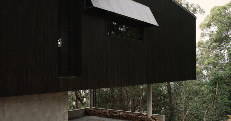 El estudio australiano Fouché Architects es el artífice del proyecto Tallowwood Cabin, en una densa área boscosa en Tallebudgera, Queensland (Australia).