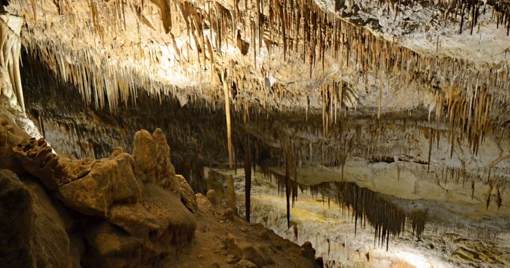cuevas drach