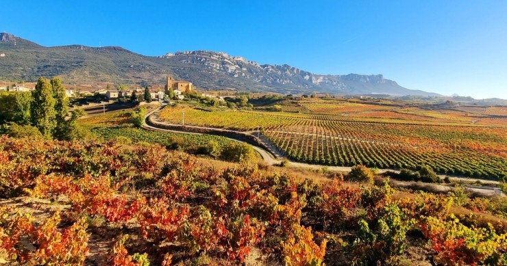 Vigneti a La Rioja