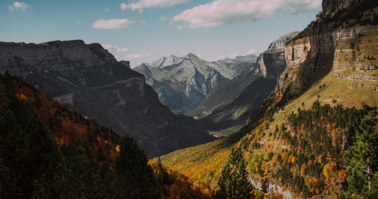 Forests in Spain