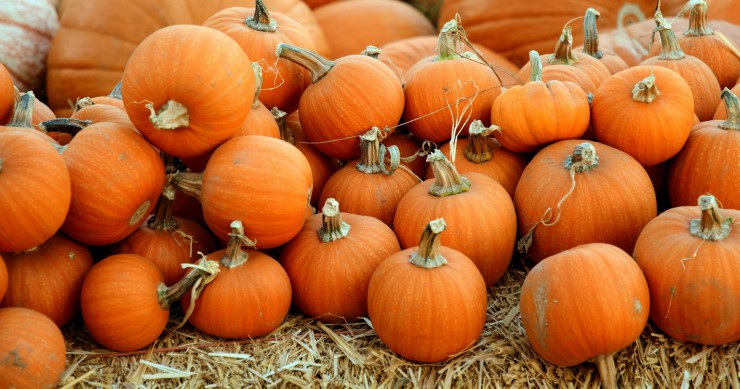 In Spagna si festeggia Halloween?