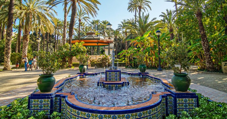 palmeral elche