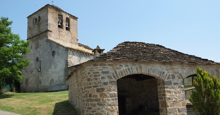 sardas