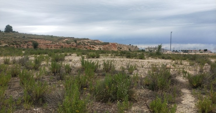 Suelo de Sareb en Arganda (Madrid)