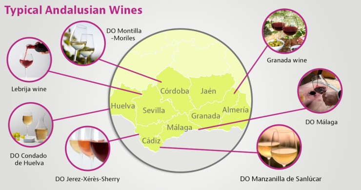 Wine in Andalusia