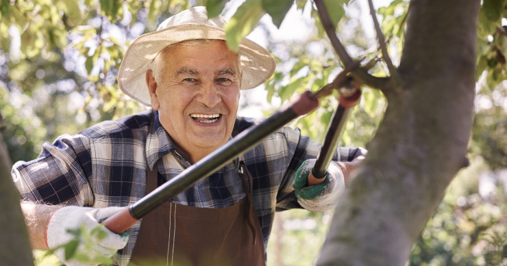 Puede la comunidad de propietarios cortar un árbol del jardín comunitario si eso me perjudica?? 