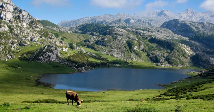 Lagos de Covadonga