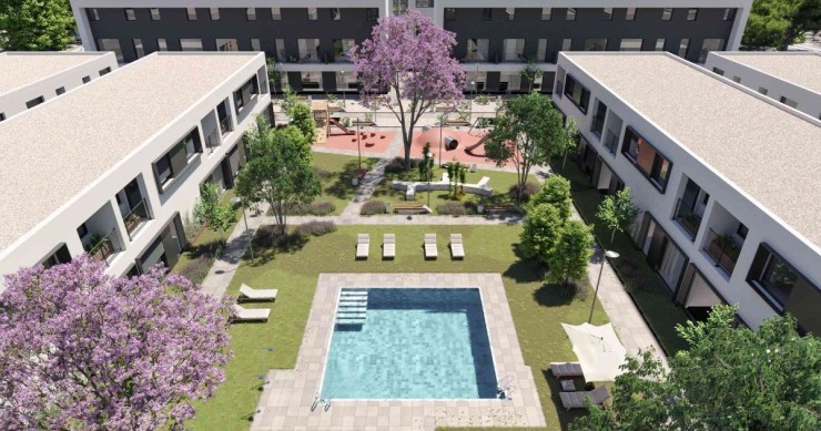 Proyecto Universidad
