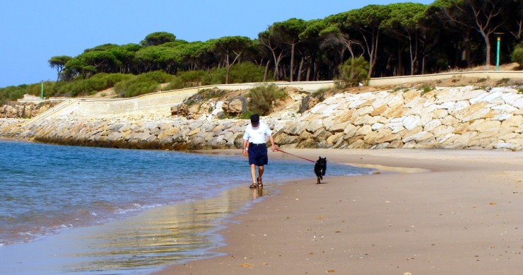 playas para perros en cadiz