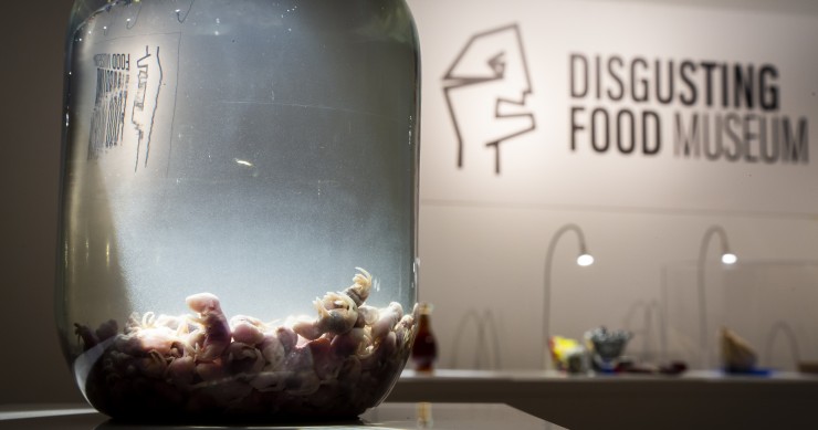 Disgusting Food Museum