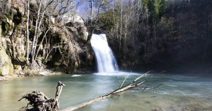 piscines naturals a catalunya