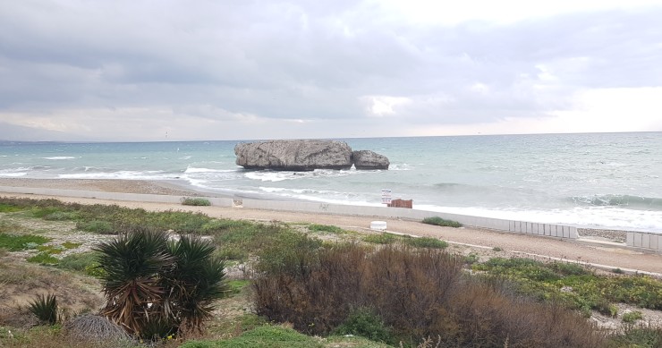 Plages adaptées aux chiens à Malaga