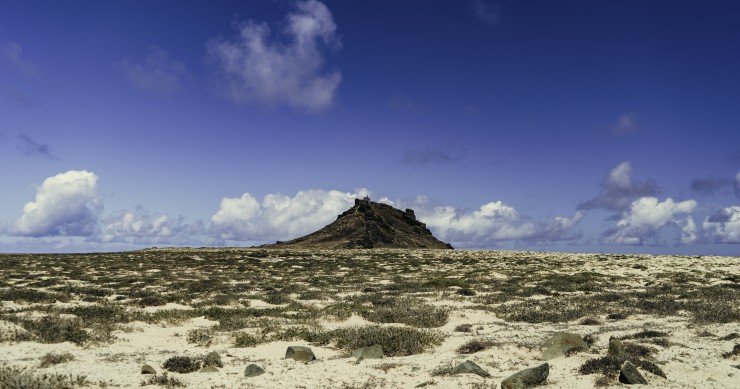 islas salvajes