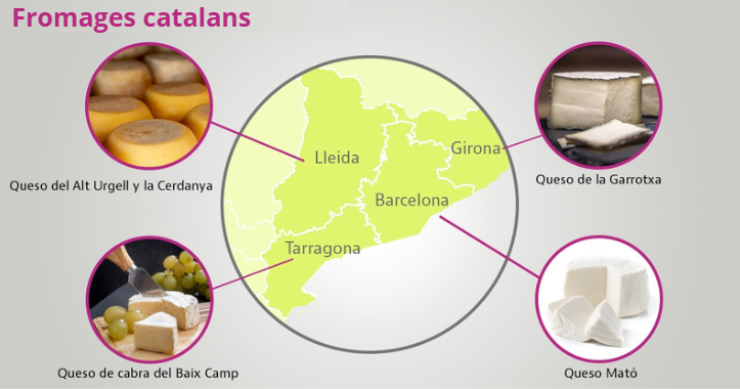 Meilleurs fromages catalans