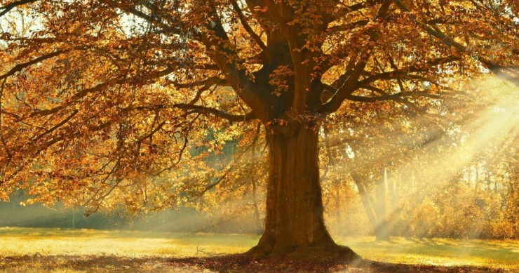 equinoccio otoño 2025