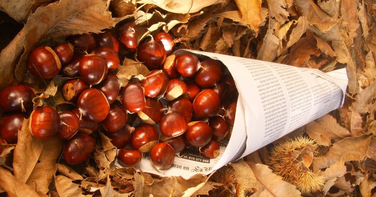 que hacer en barcelona en noviembre