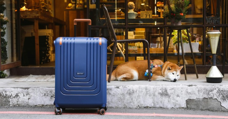 Perro tumbado junto a una maleta