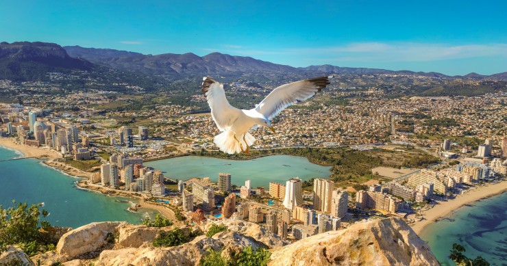 Calpe compte plus d'étrangers que d'habitants locaux.